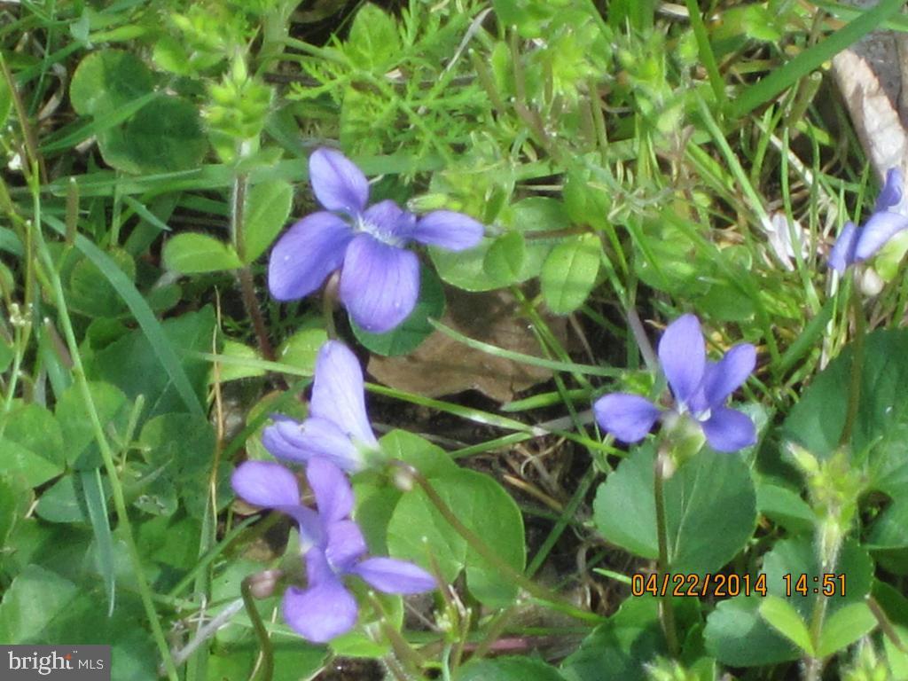 CEDAR MILL - Residential