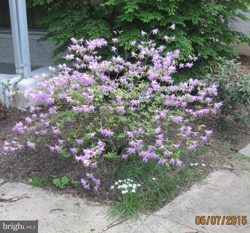 CEDAR MILL - Residential