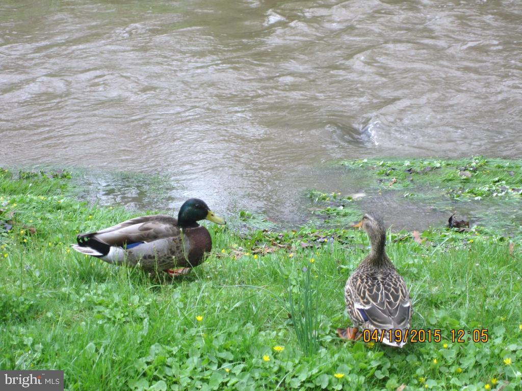 CEDAR MILL - Residential