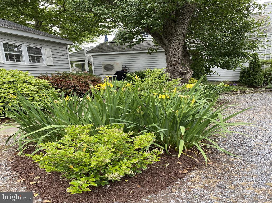 OXFORD - Residential