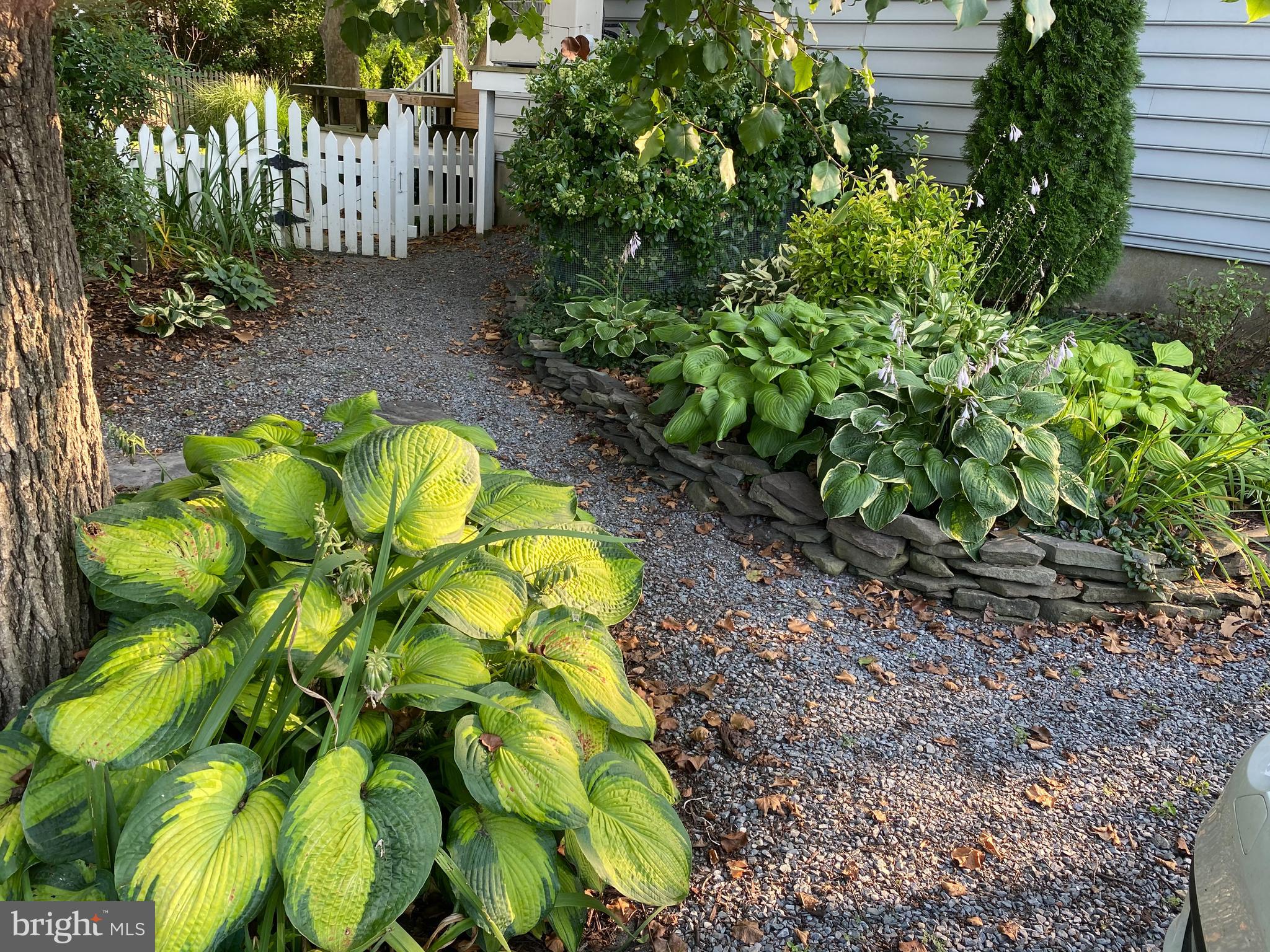 OXFORD - Residential