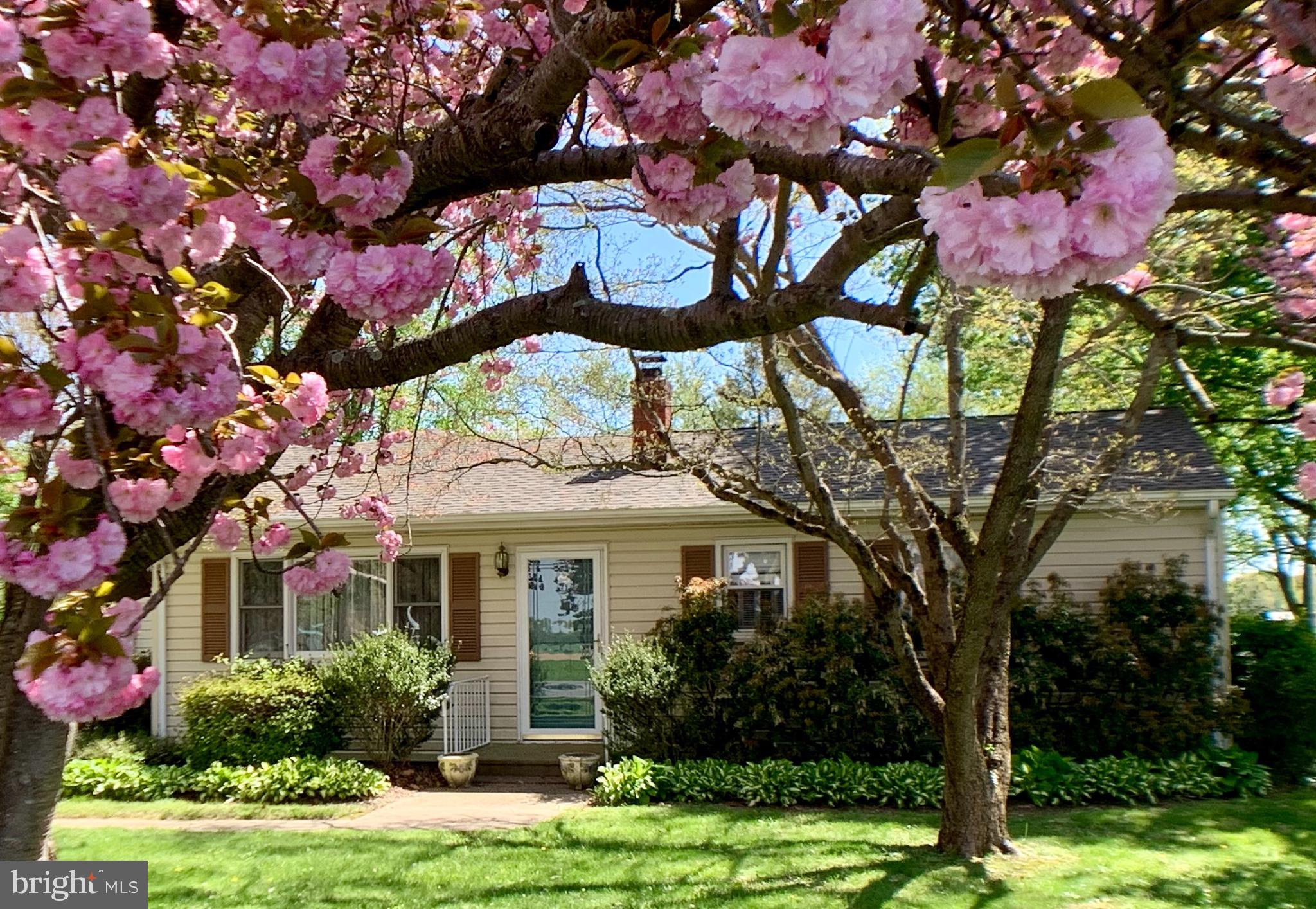 CHESTER ESTATES - Residential