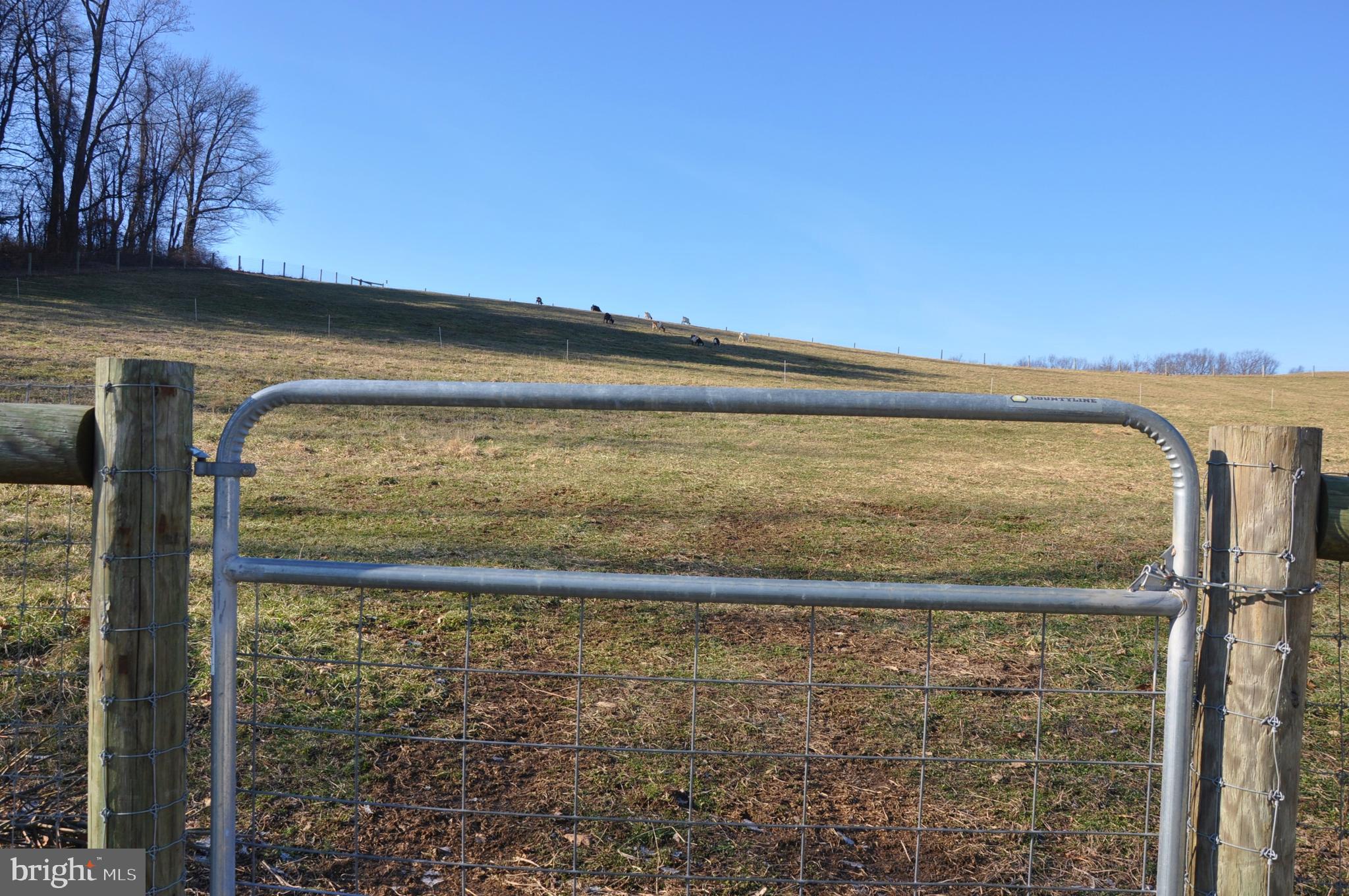 CODORUS - Farm