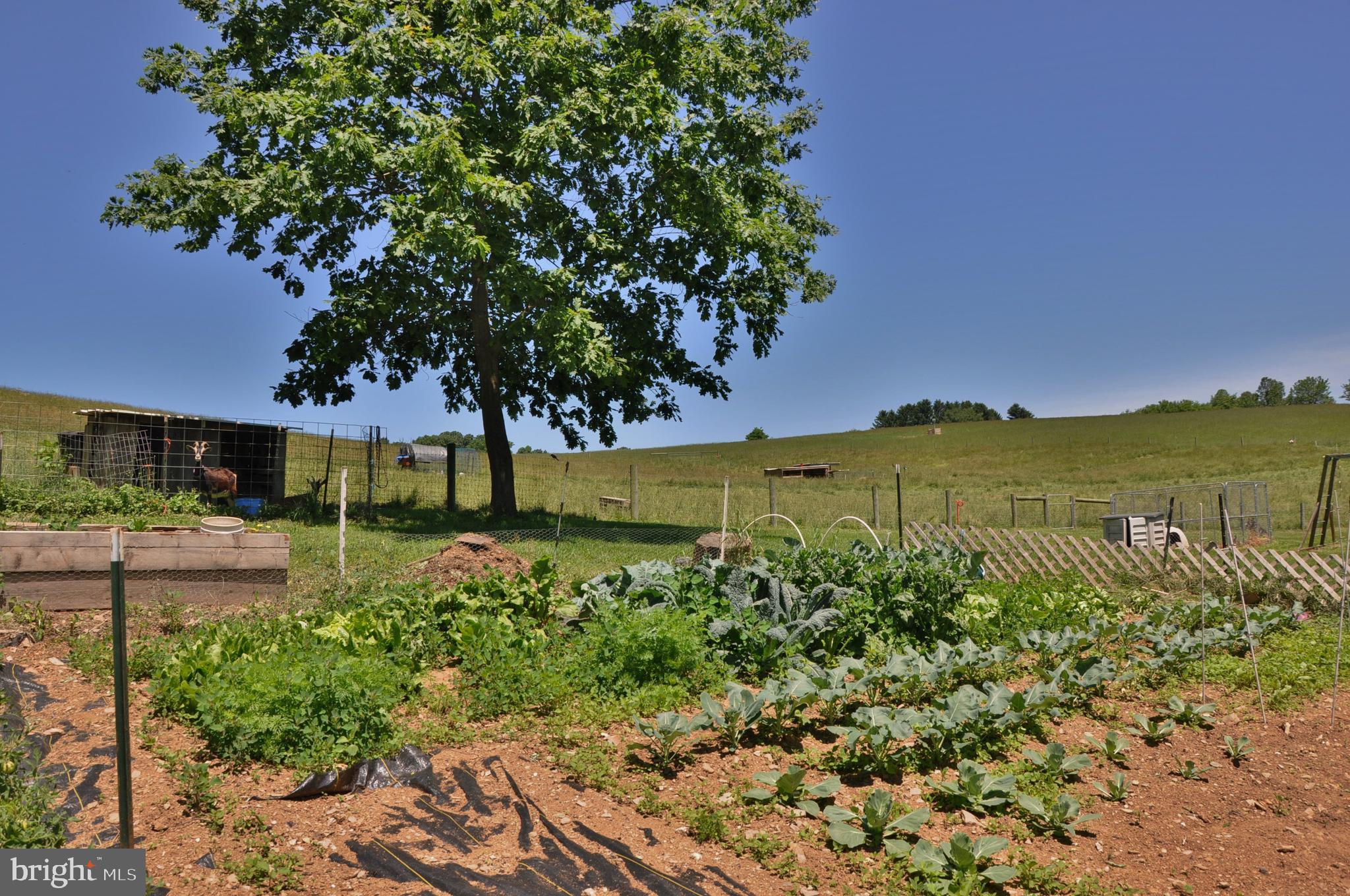 CODORUS - Farm