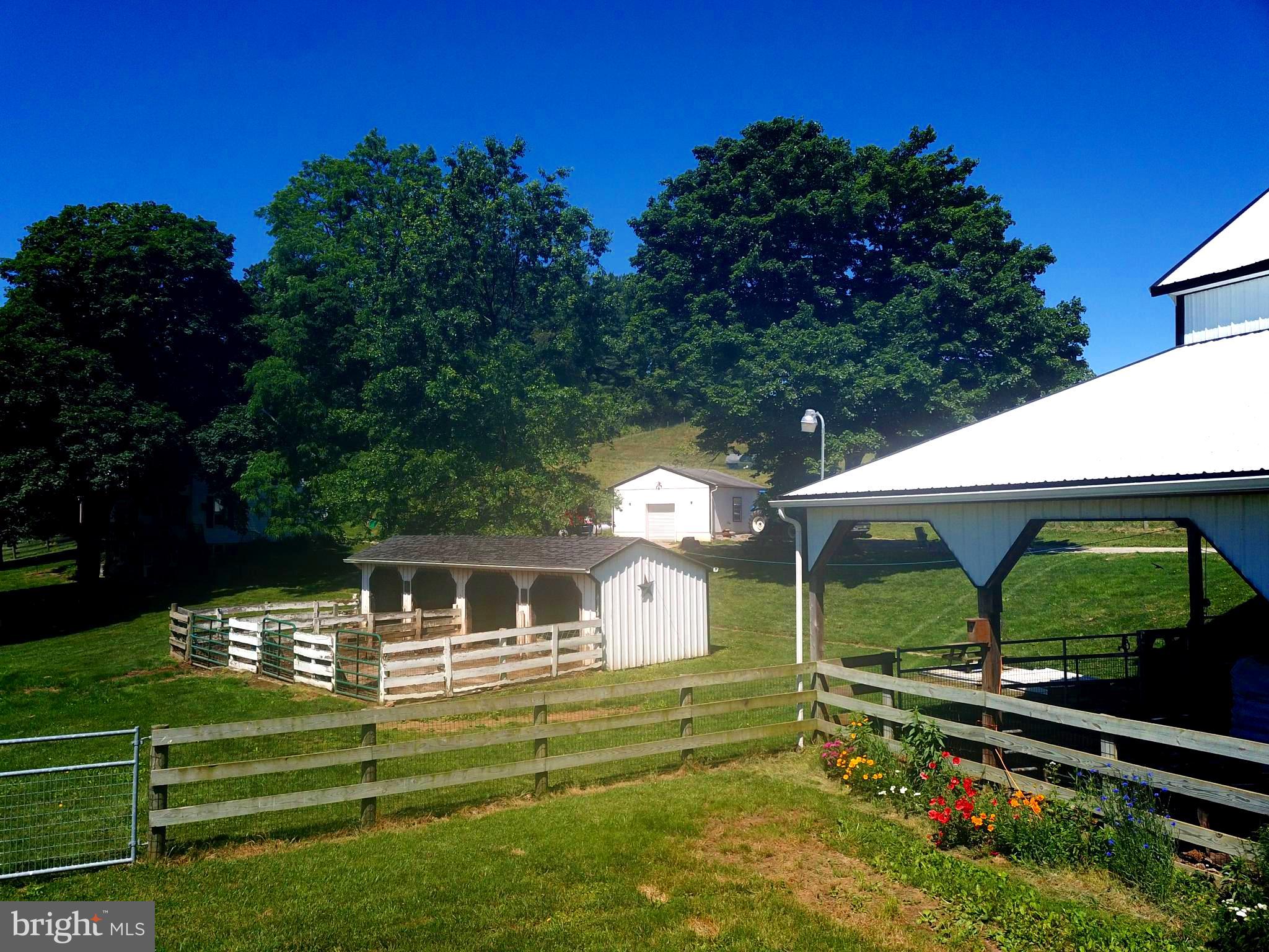 CODORUS - Farm