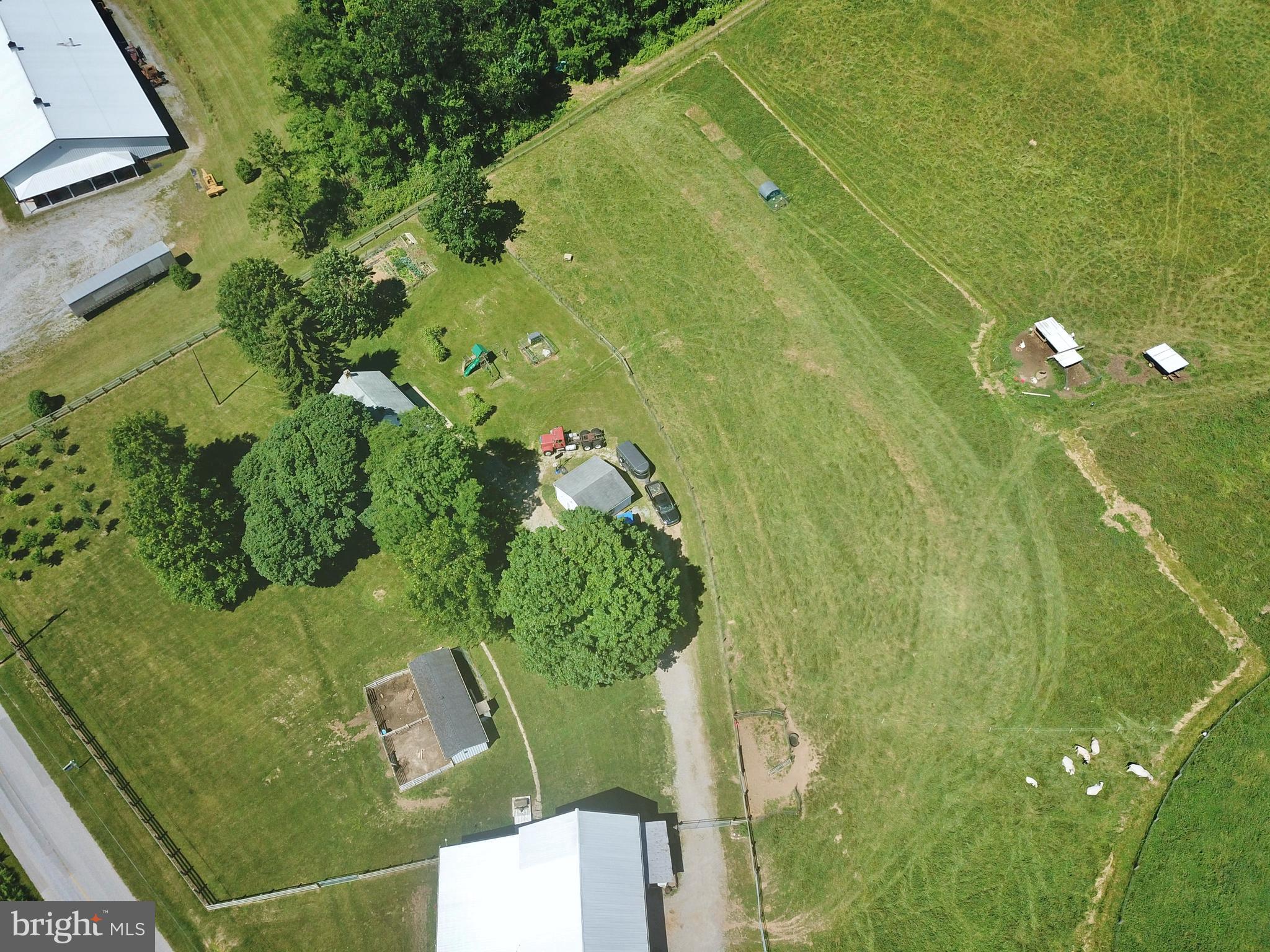 CODORUS - Farm