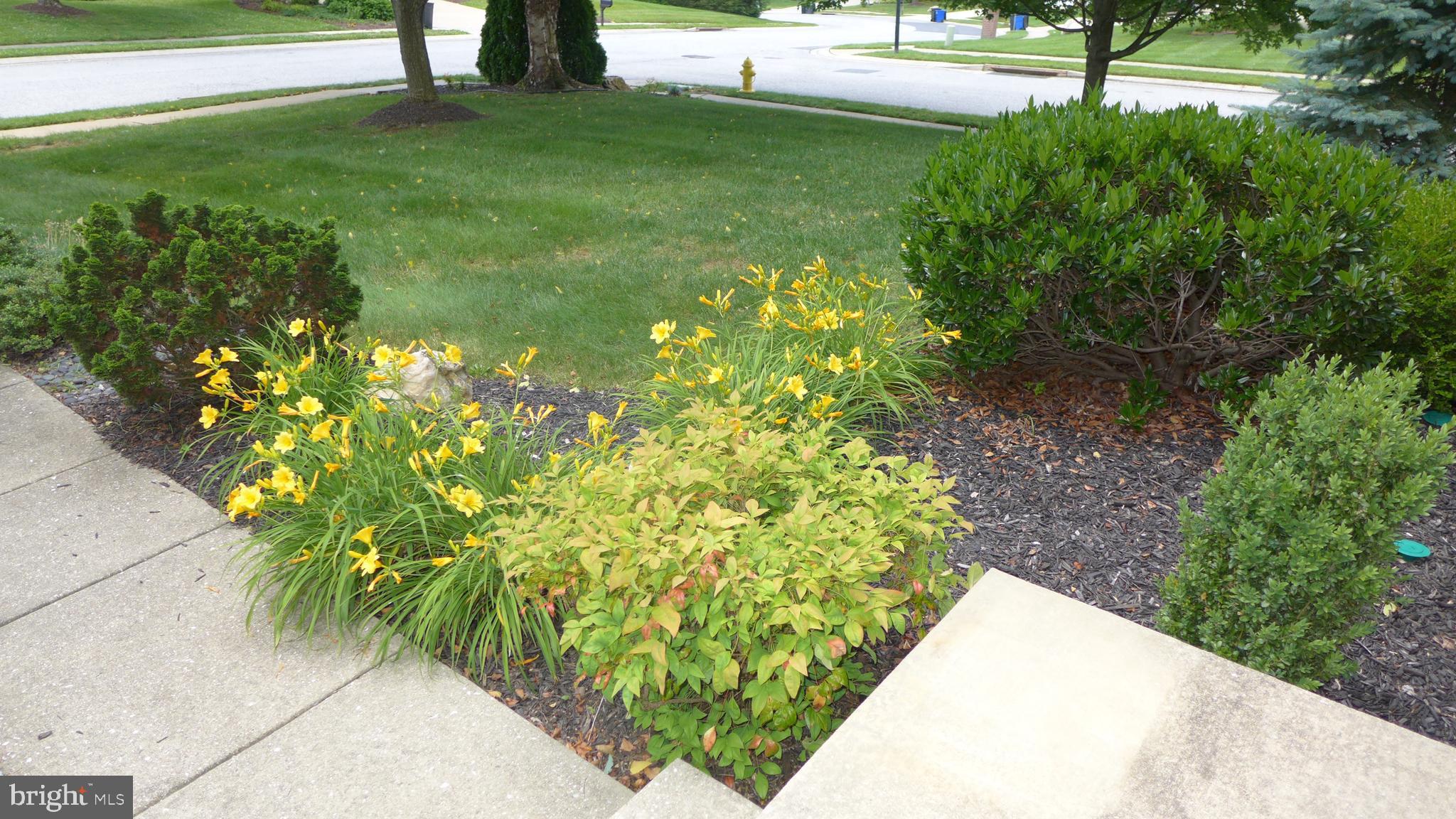 VINEYARD OAK - Residential Lease