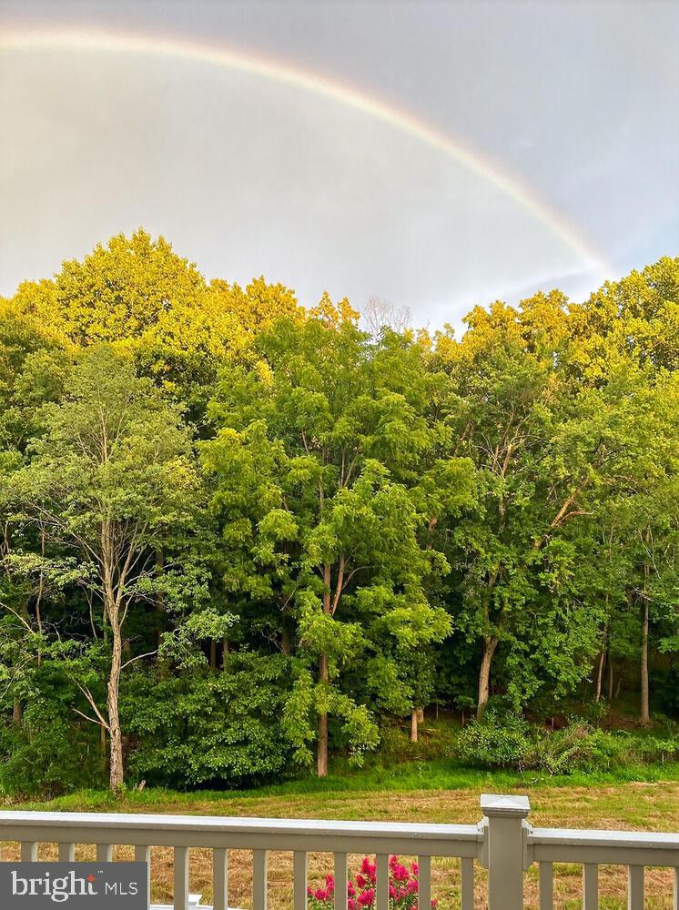 MONTGOMERY VILLAGE - Residential