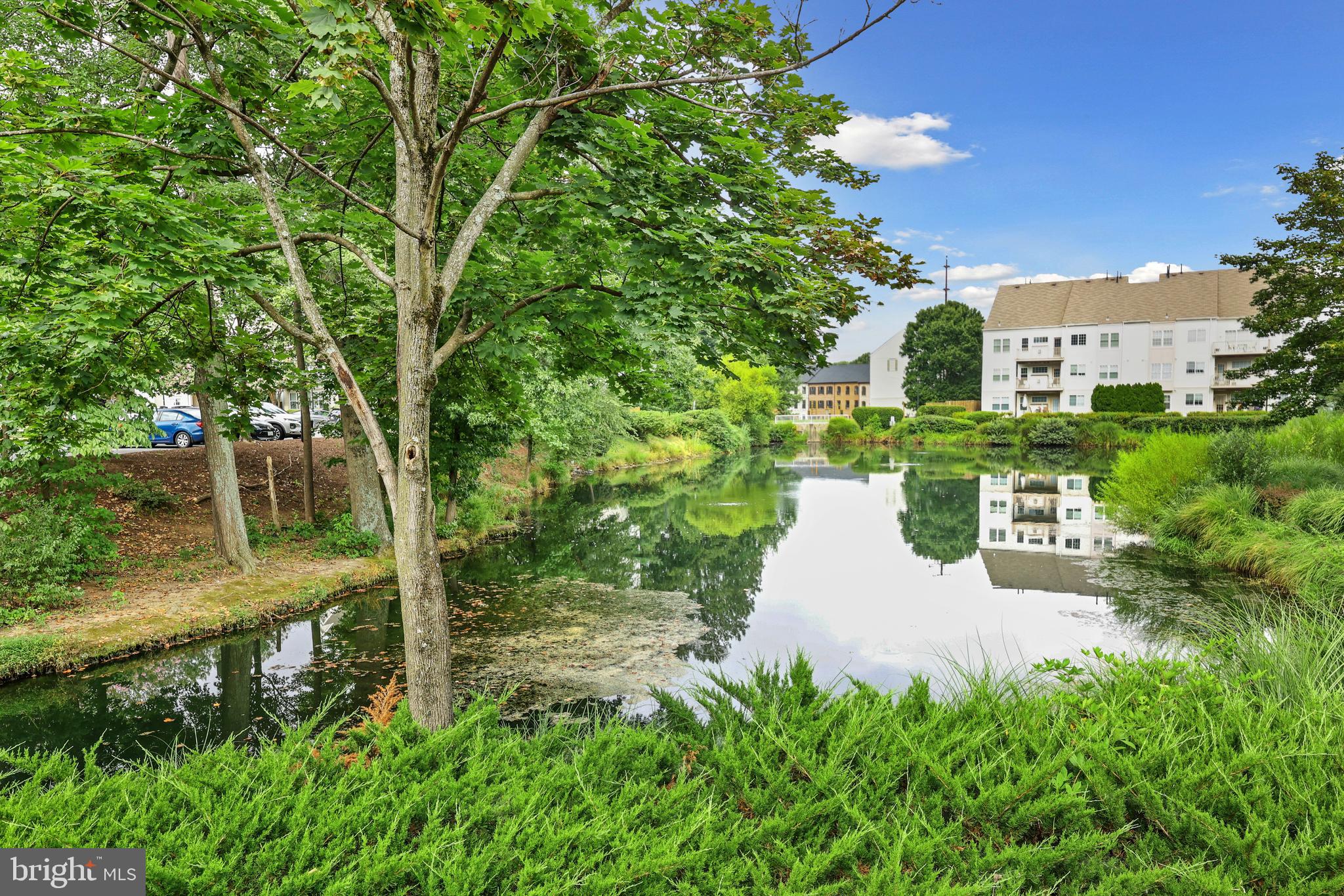 CARR AT CEDAR LAKES - Residential