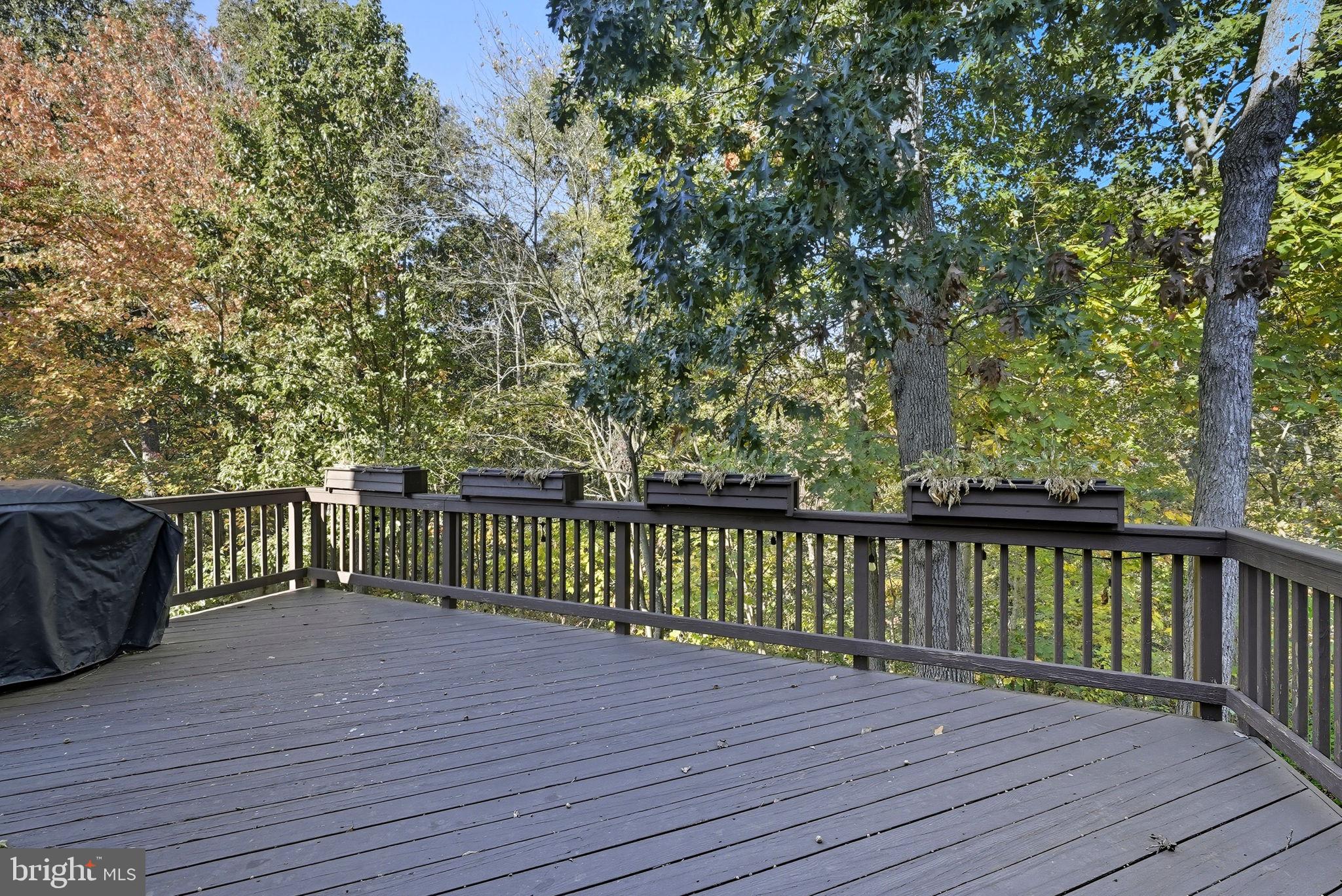 GREAT FALLS CHASE - Residential