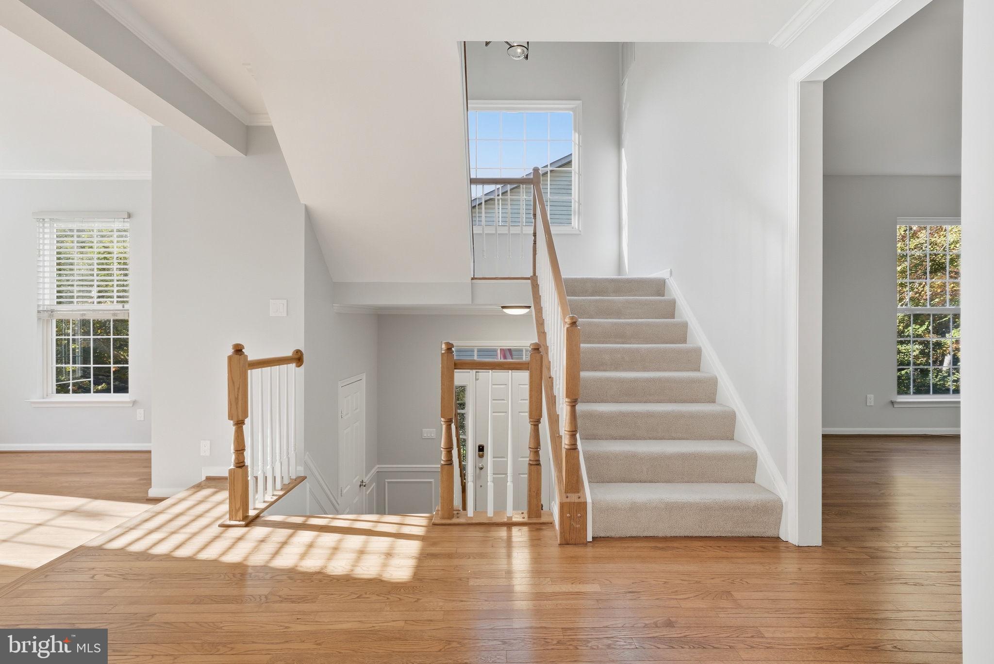 GREAT FALLS CHASE - Residential