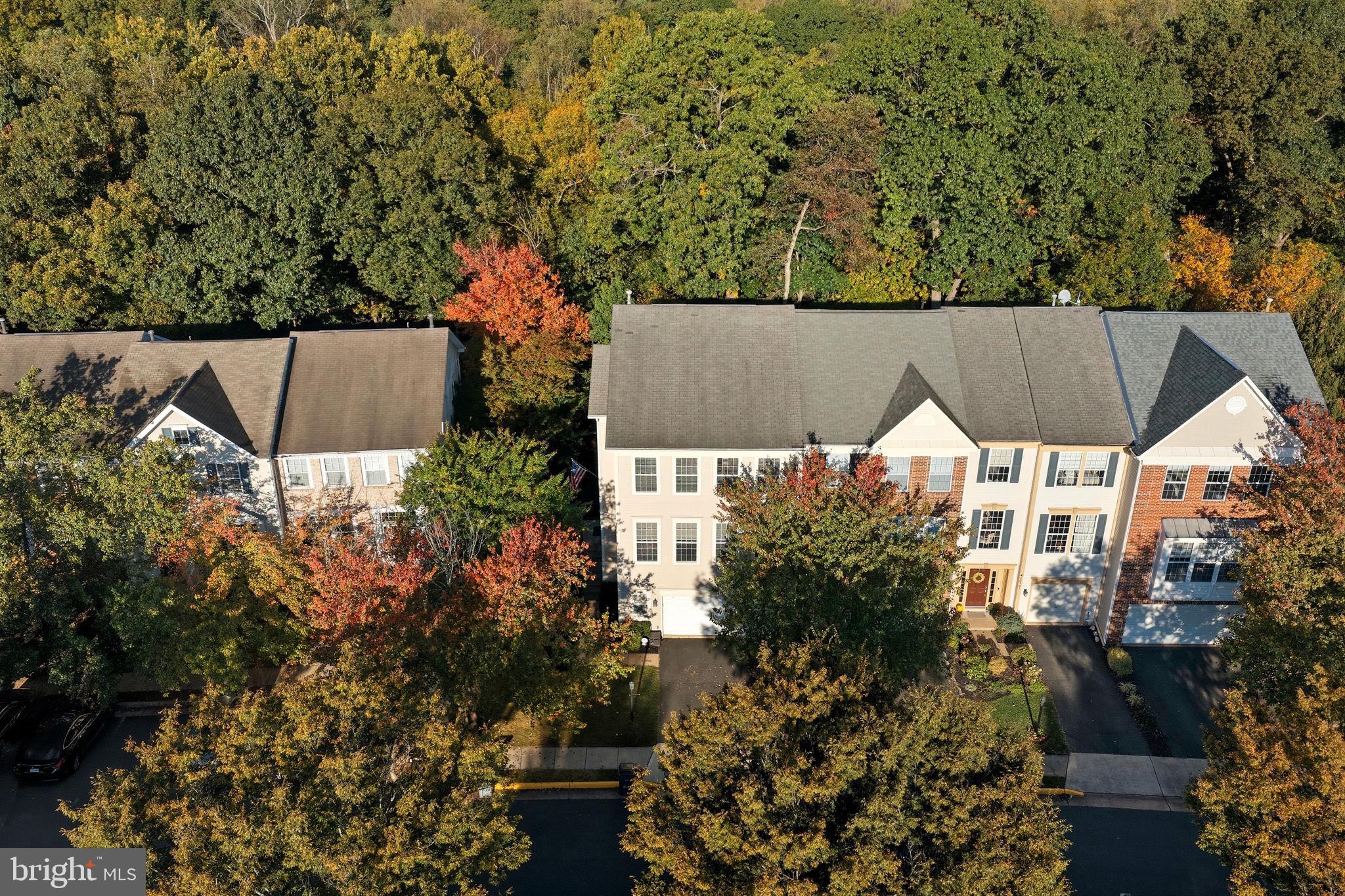 GREAT FALLS CHASE - Residential