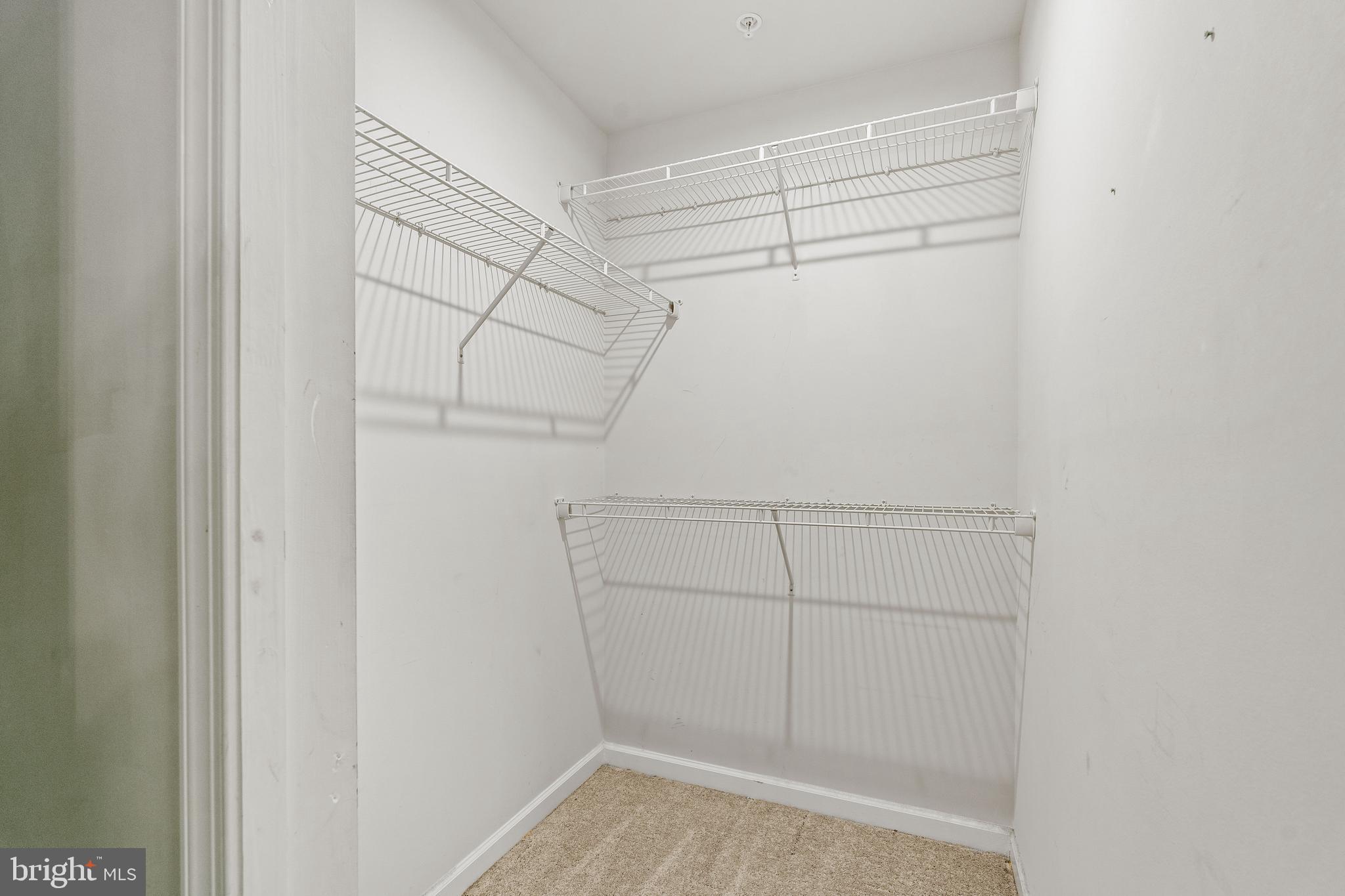 RIDGELY FOREST - Residential