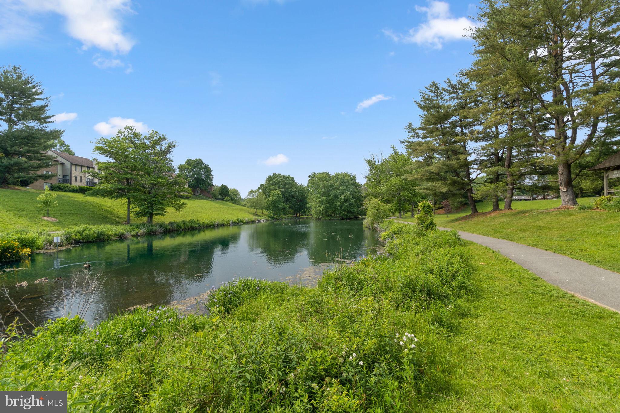 HERONS COVE - Residential