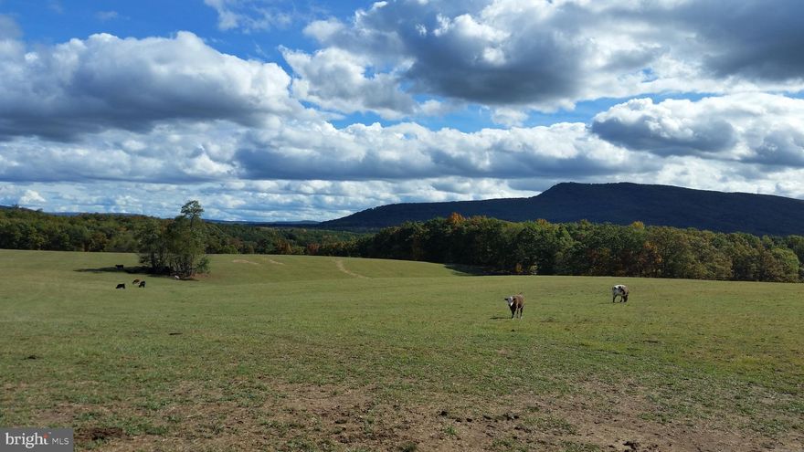 BREATHTAKING!!  This 55 acres is stunning and the views well, lets just say you need to see them in person.  This property offers so many options;  build your home with views galore,  homestead, continue to run cattle and farm,  or develop. The property is located on the corner of Ford Hill Rd and N. Texas Road with easy access to  Rt 50 . Currently the property is used for grazing cattle and hay production and is crossed fenced with electric and a well.  Public water available off Ford Hill Road if you so choose.  CATTLE ON PROPERTY please do not access without an appointment   

Owners will entertain offers on dividing off at least 10 or more acres.