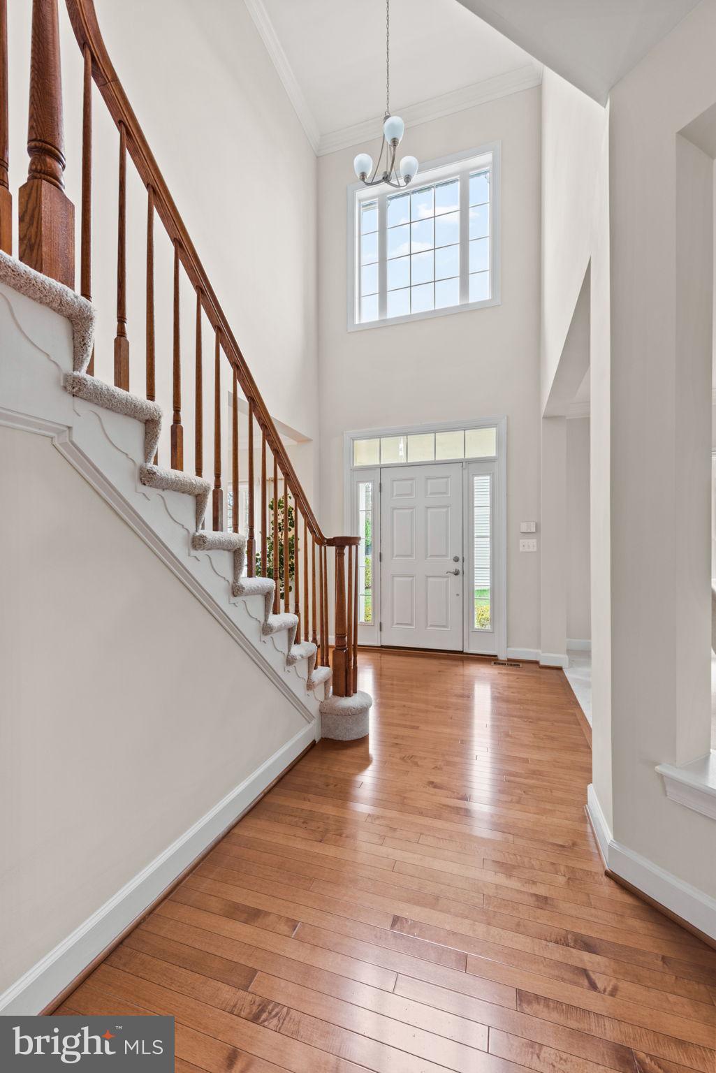 BELL MANOR ESTATES - Residential