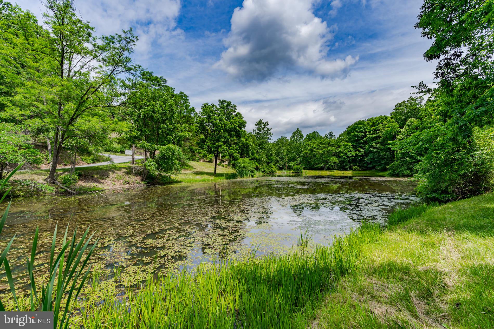 COLONIAL VILLAGE - Residential