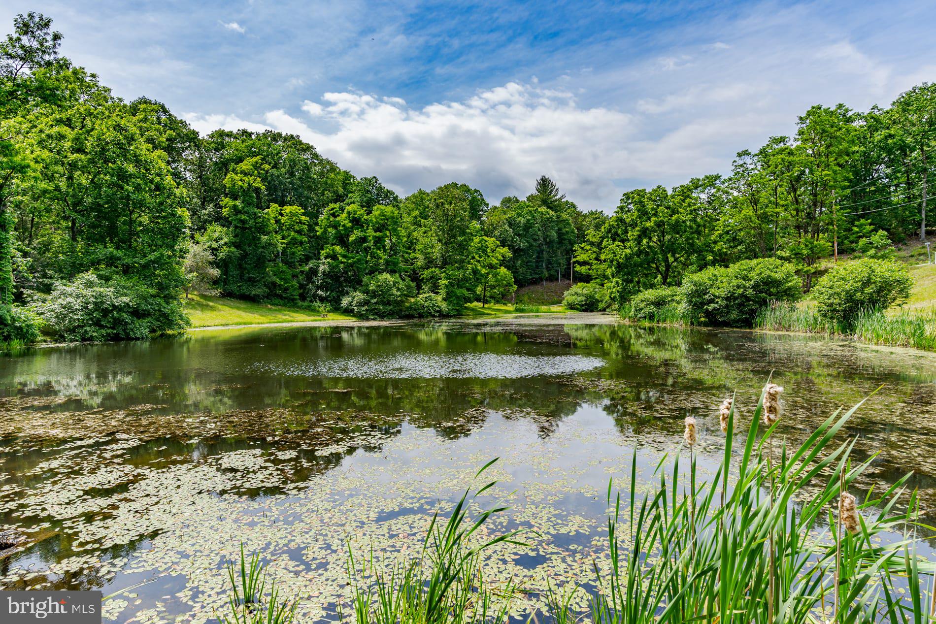 COLONIAL VILLAGE - Residential