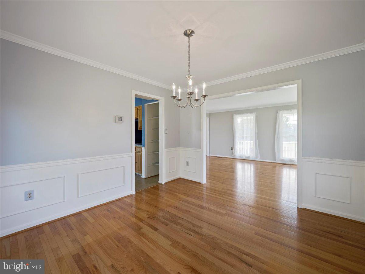 STEEPLE CHASE - Residential