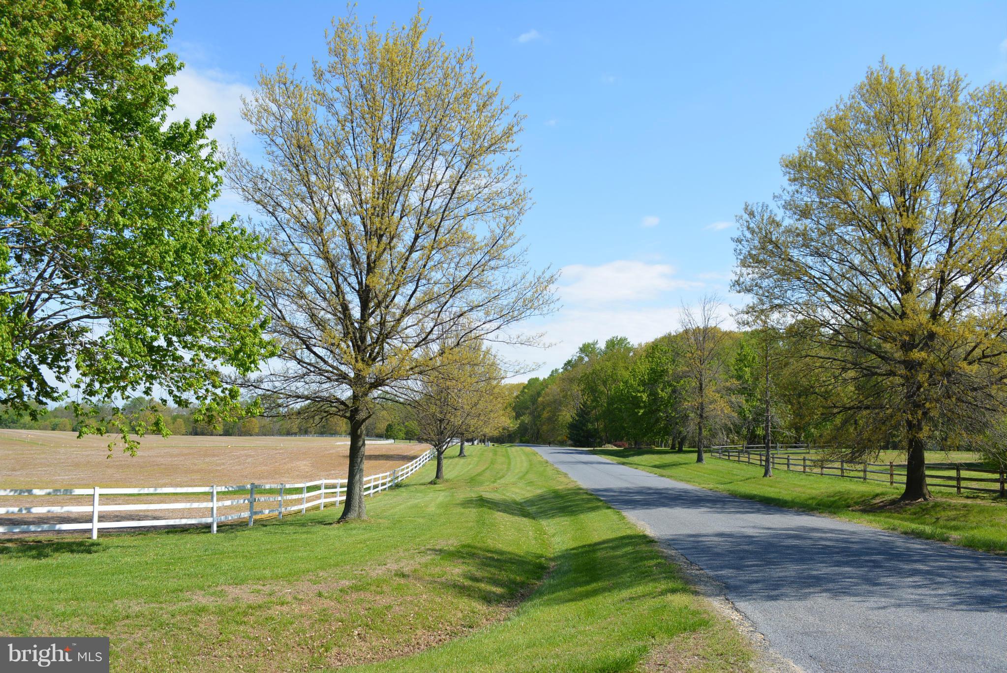 BARRETT LANDS - Farm