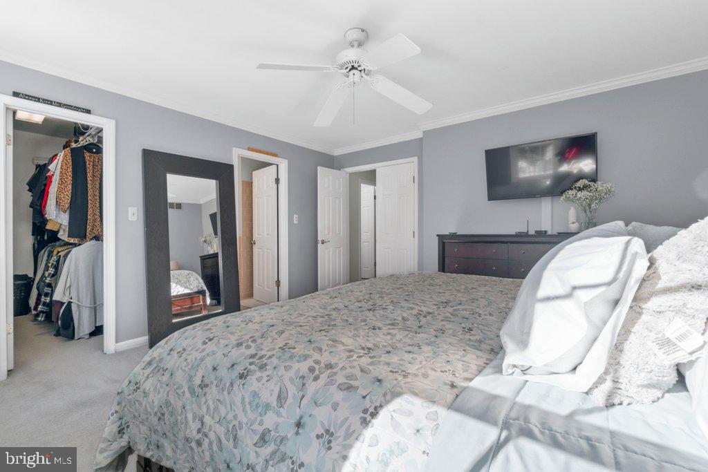 THE CEDARS - Residential