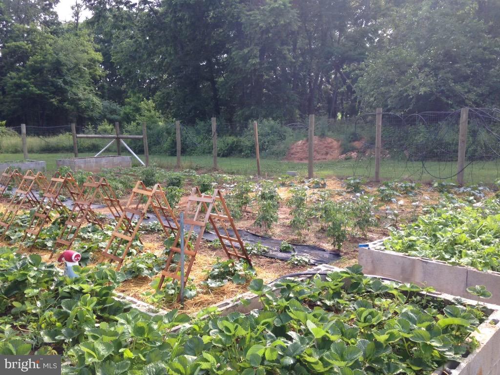 SPRINGS AT SHEPHERDSTOWN - Residential