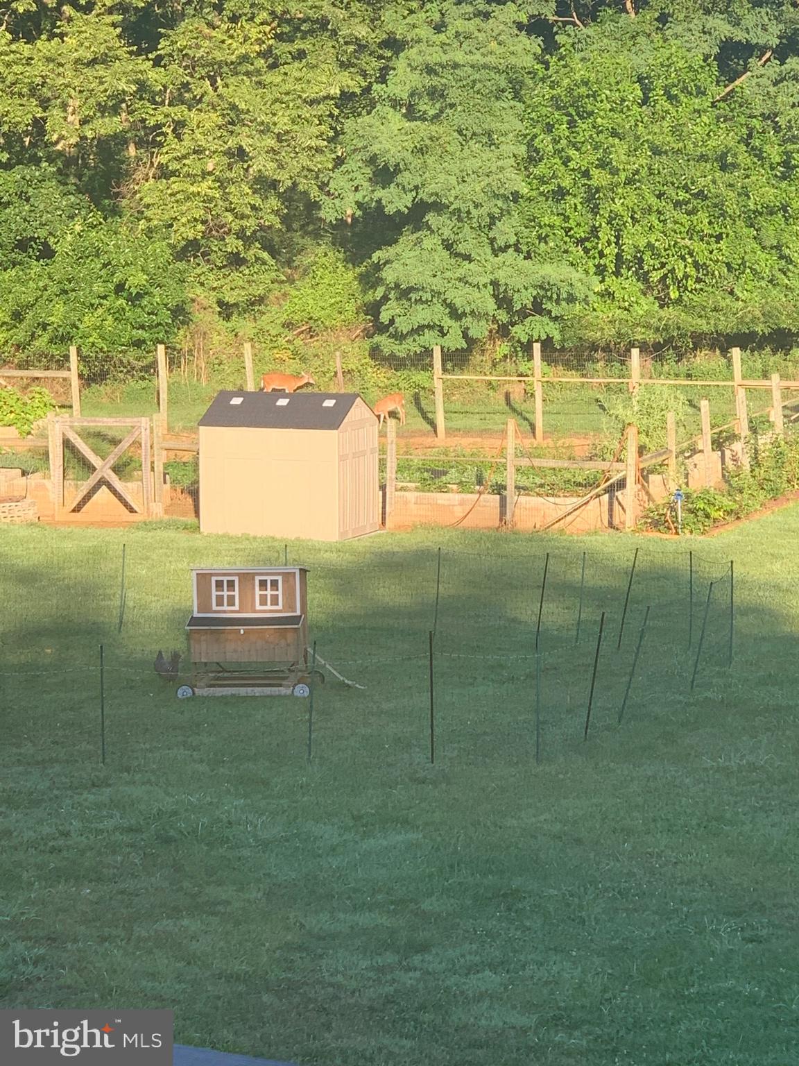 SPRINGS AT SHEPHERDSTOWN - Residential