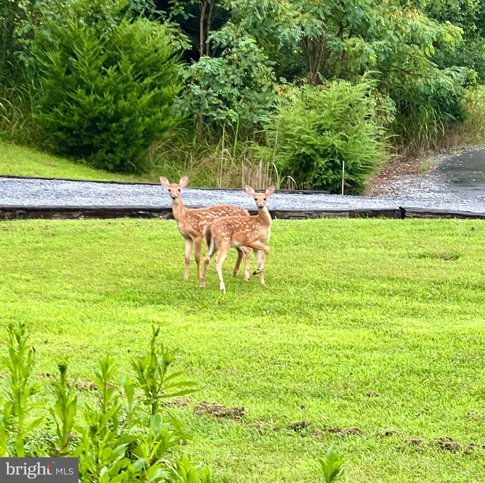 SPRINGS AT SHEPHERDSTOWN - Residential
