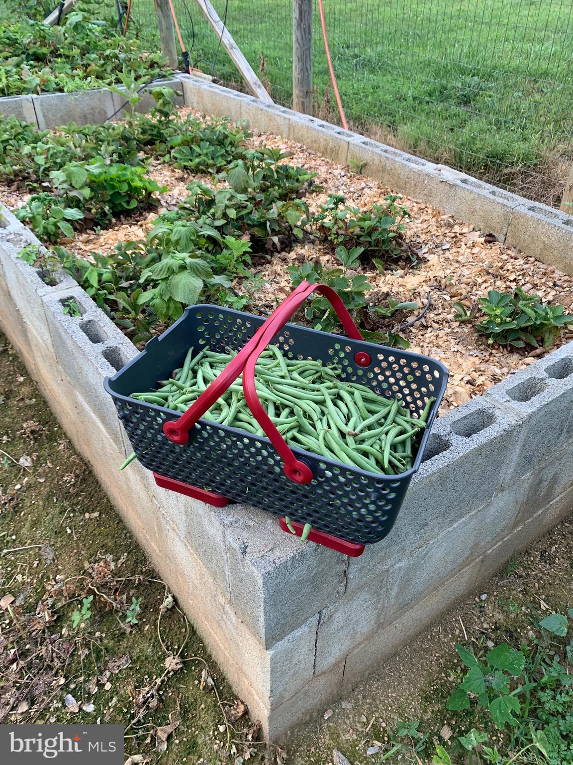 SPRINGS AT SHEPHERDSTOWN - Residential