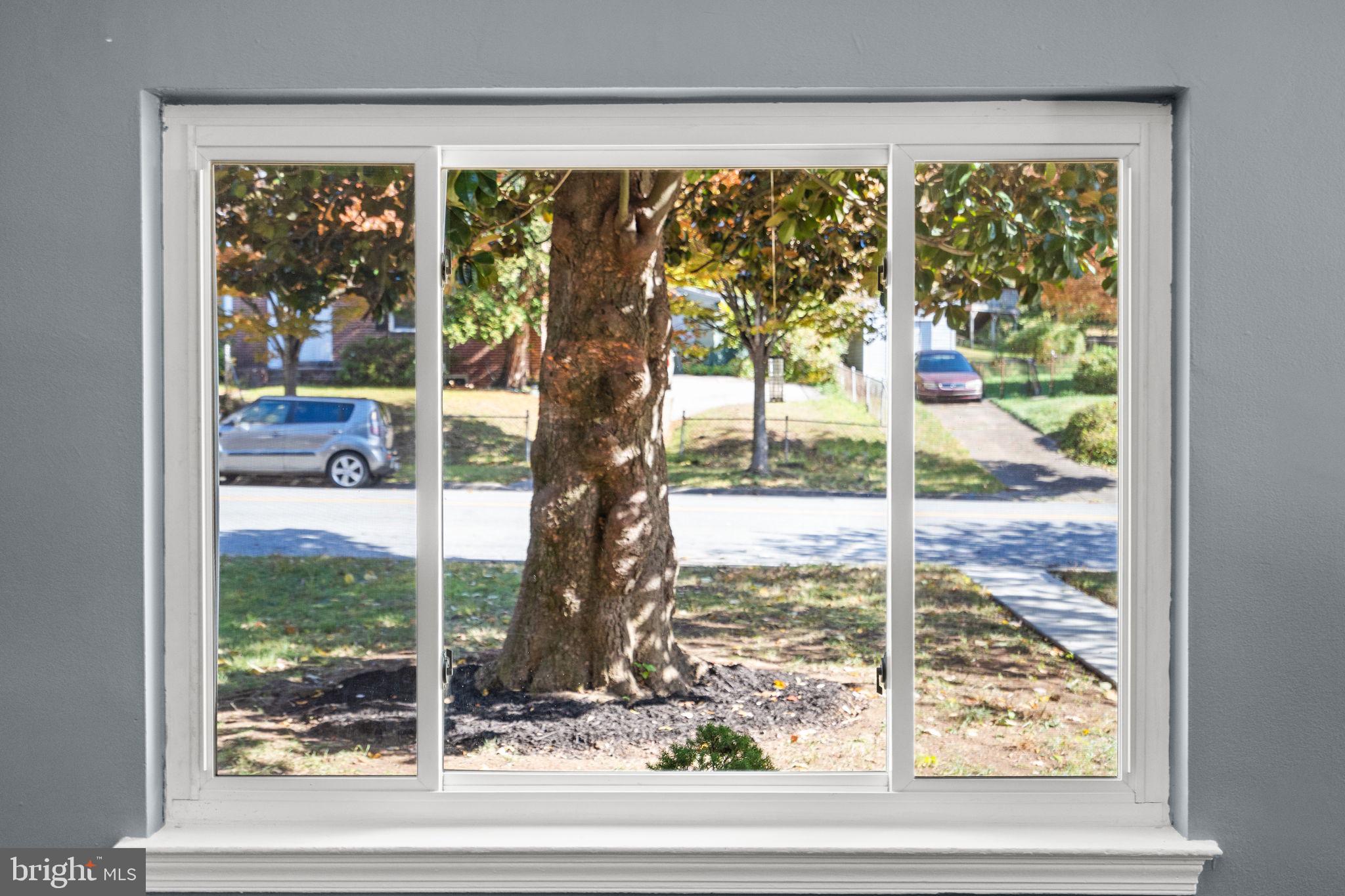 CAROLE HIGHLANDS - Residential