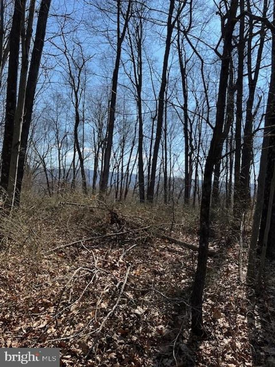 Come check out the only lot currently available In Sleepy Creek Forest.  Take down a few trees for a really nice mountain view on  this 3.58 ac lot. 2013 septic permit and drawing in documents, HOA fee is in place to maintain roads and pond areas.
Bring the fishing pole and enjoy some R&R in the country  buy now and build later.
