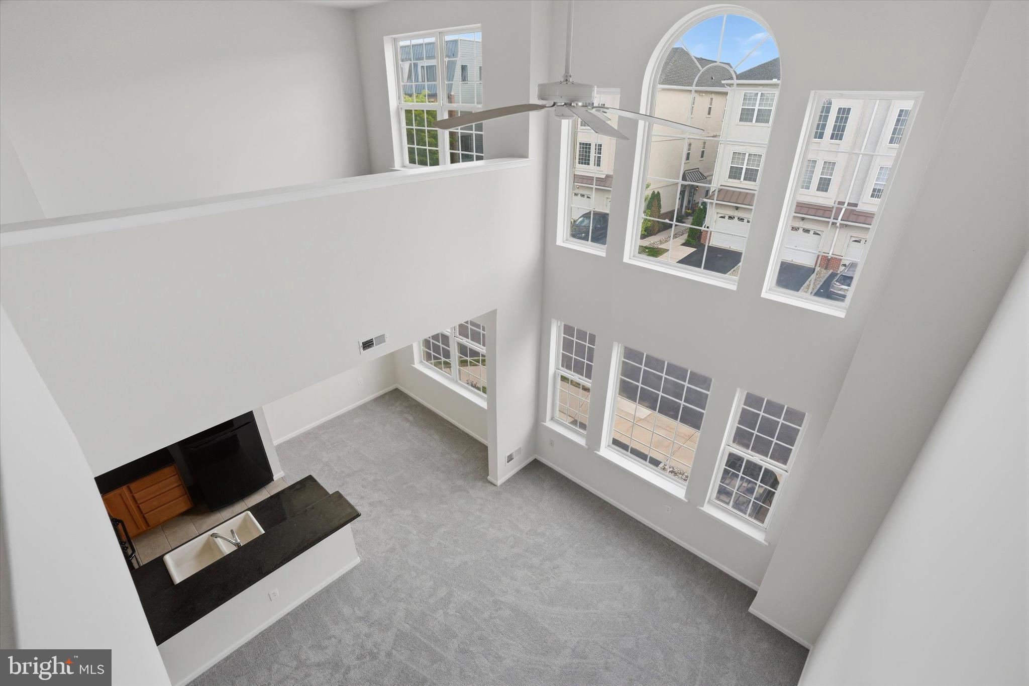 VILLAS AT PACKER PARK - Residential