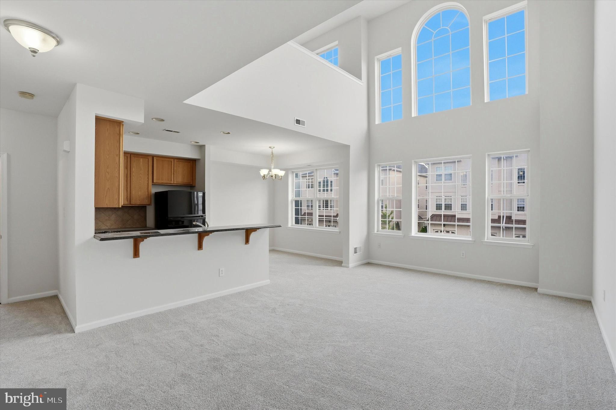 VILLAS AT PACKER PARK - Residential