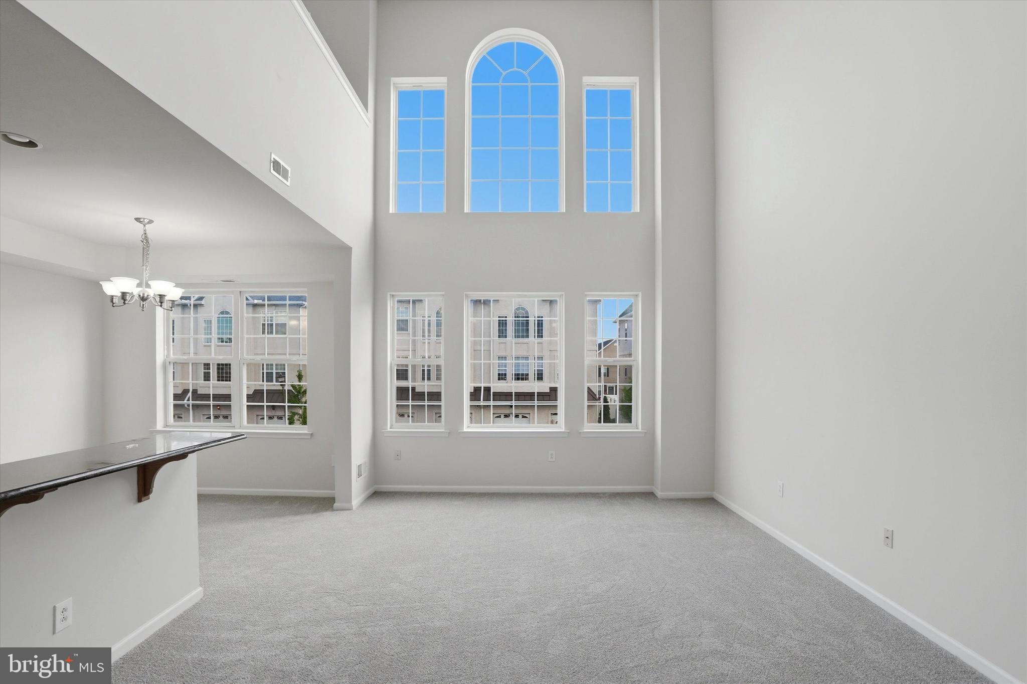 VILLAS AT PACKER PARK - Residential