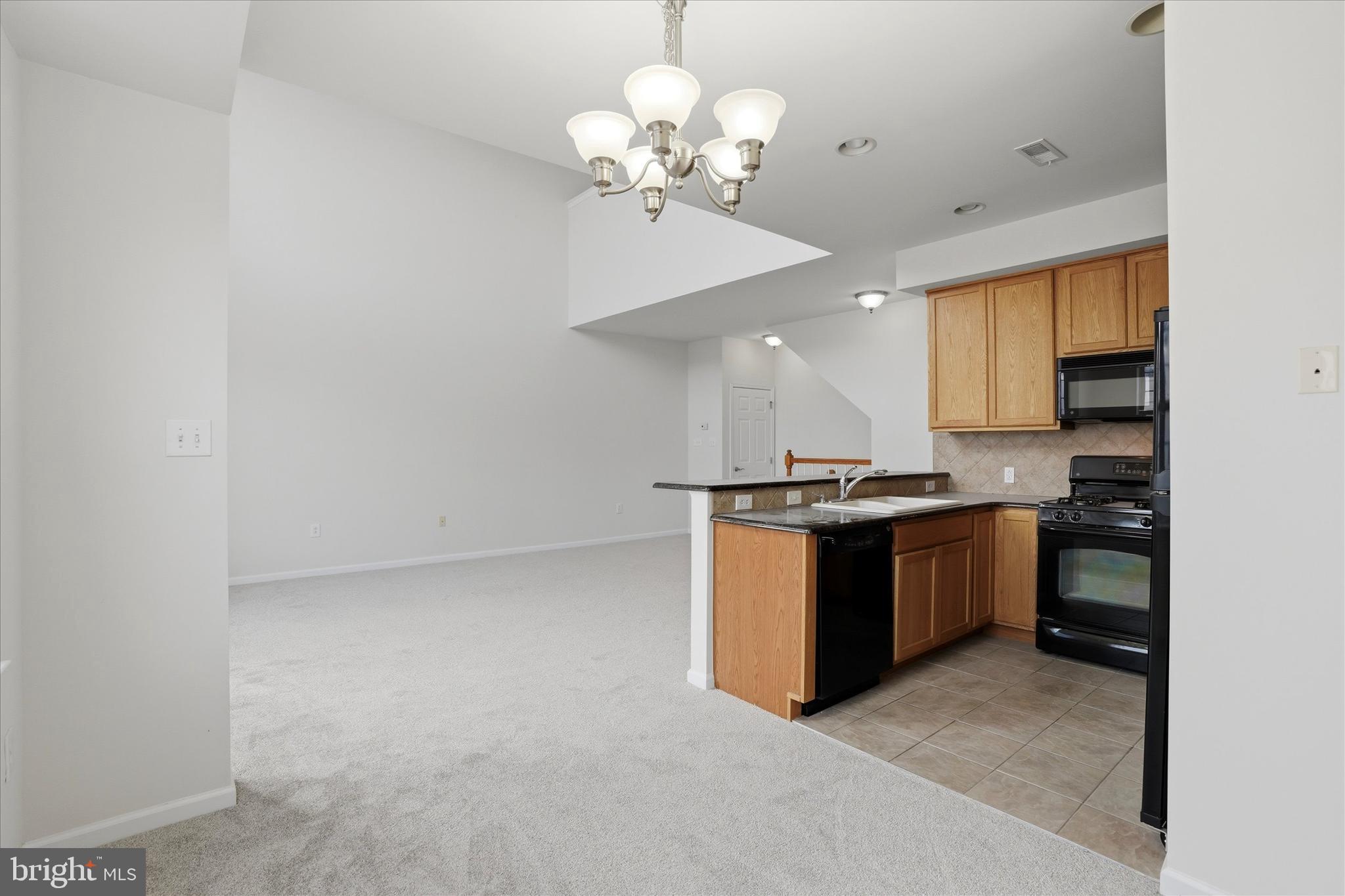 VILLAS AT PACKER PARK - Residential