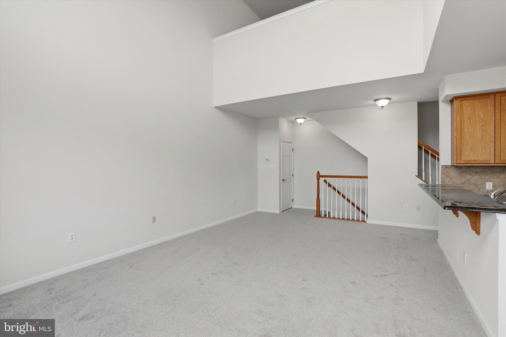 VILLAS AT PACKER PARK - Residential