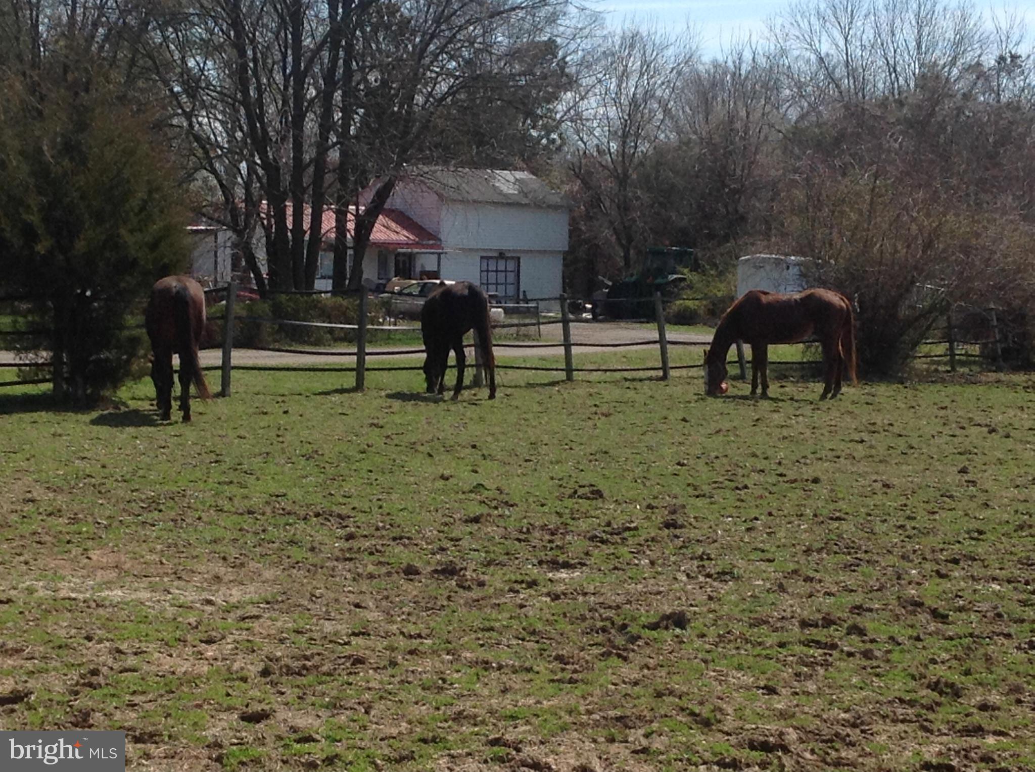 HUNTINGTON AT MT VERNON - Residential Lease