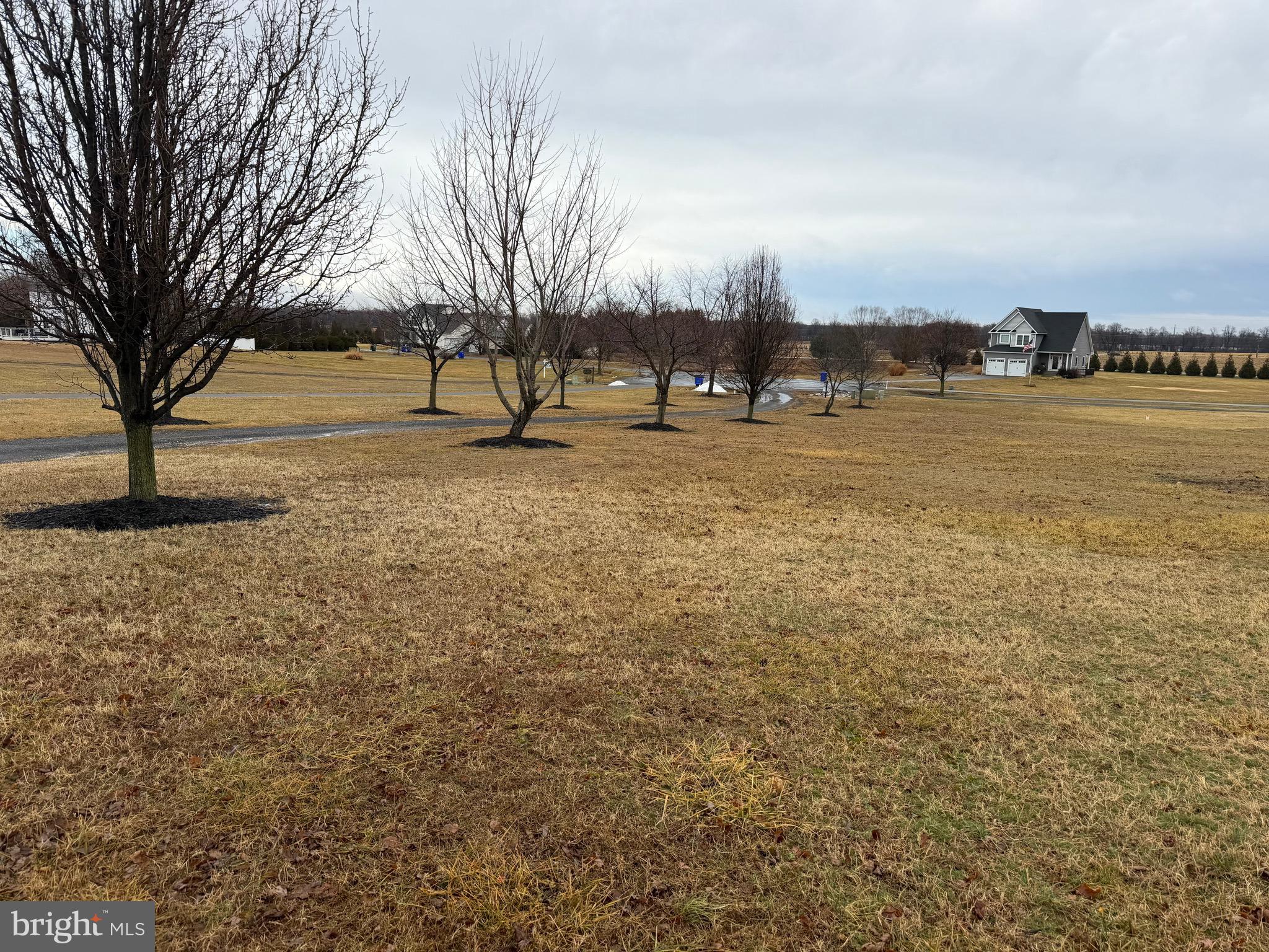 PATCHWORK KNOLL - Residential