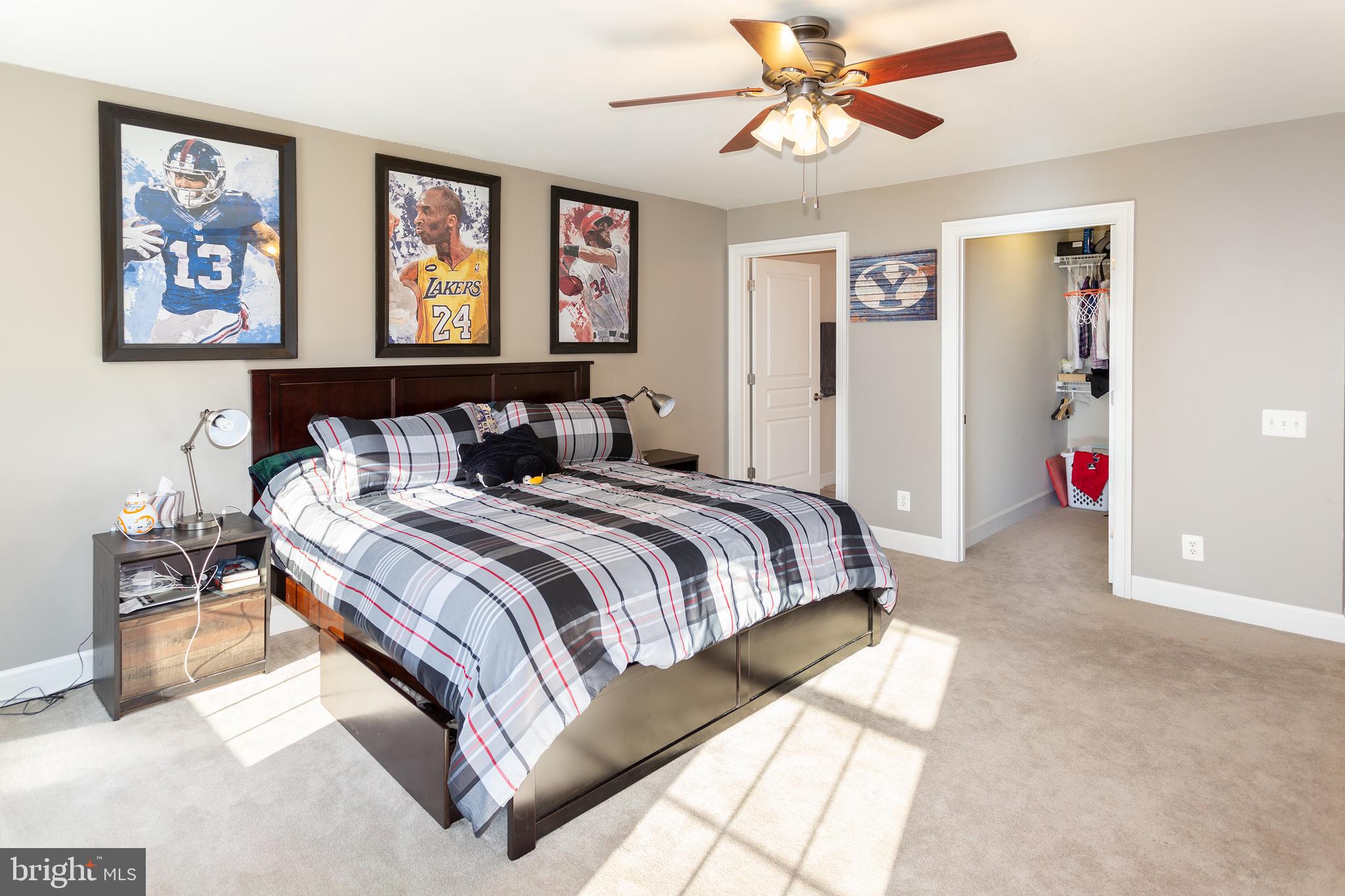 RED CEDAR - Residential