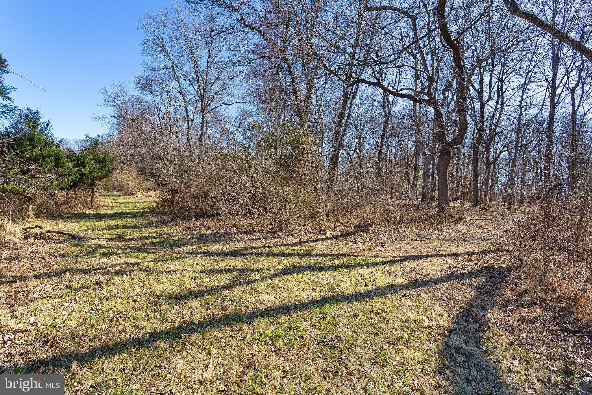 RED CEDAR - Residential
