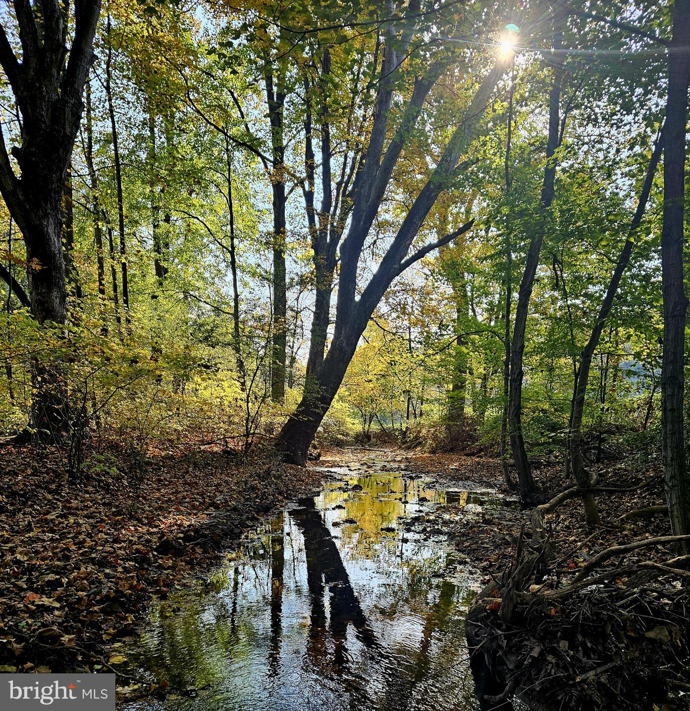 HEDGESVILLE - Residential