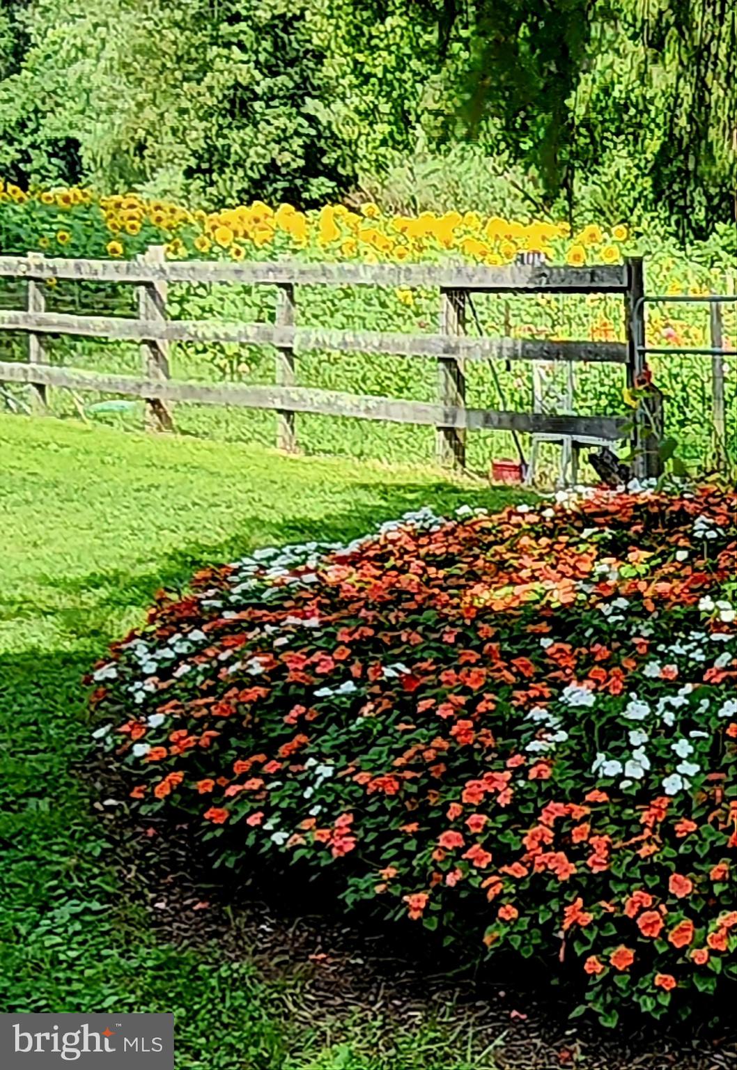 HEDGESVILLE - Residential