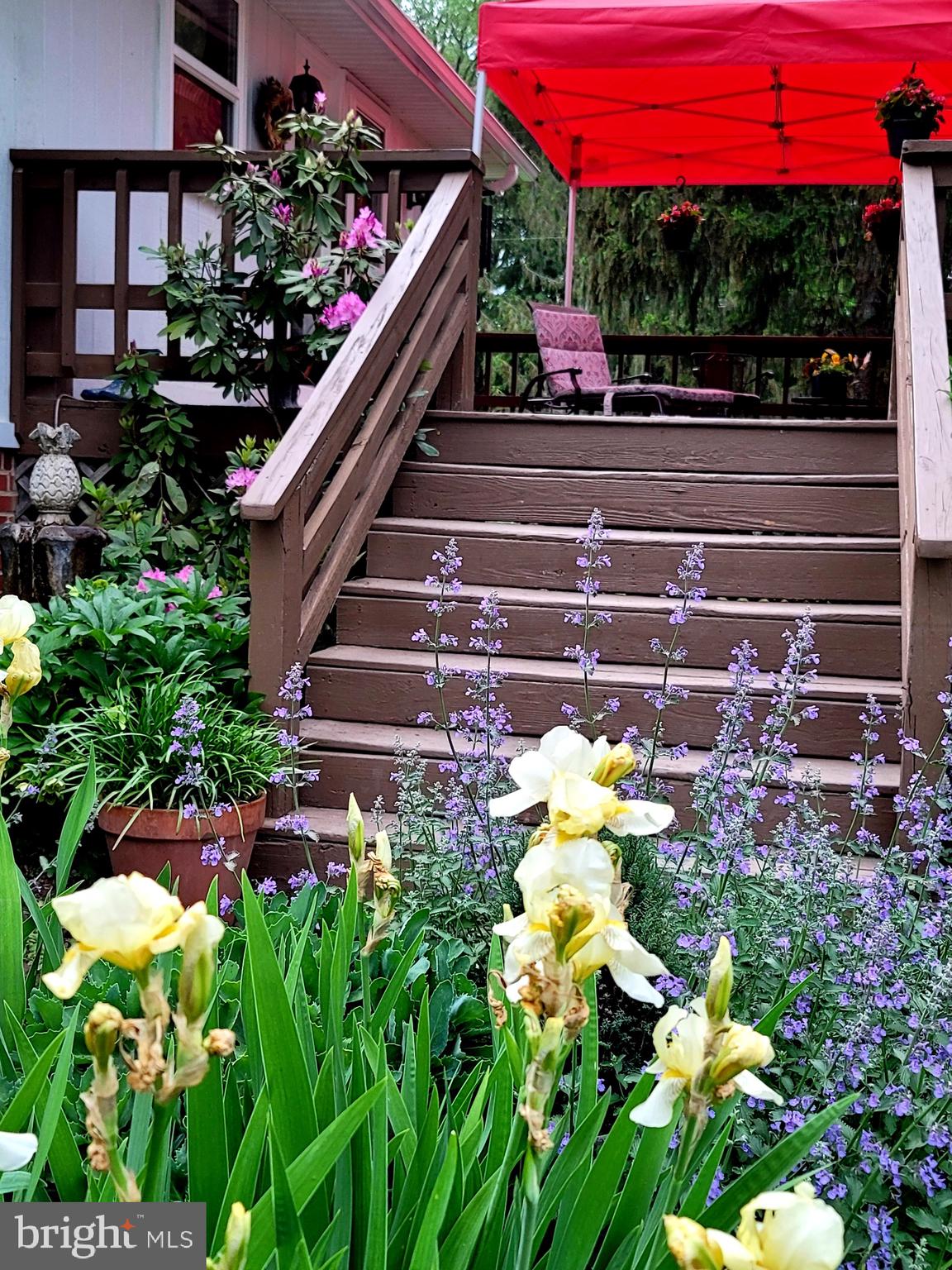 HEDGESVILLE - Residential