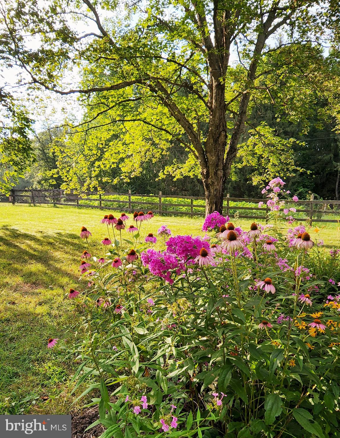 HEDGESVILLE - Residential