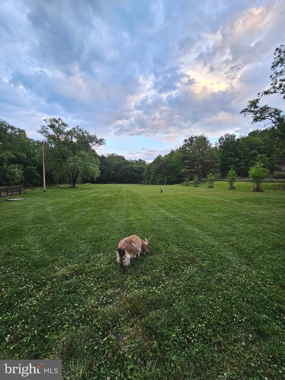 HEDGESVILLE - Residential