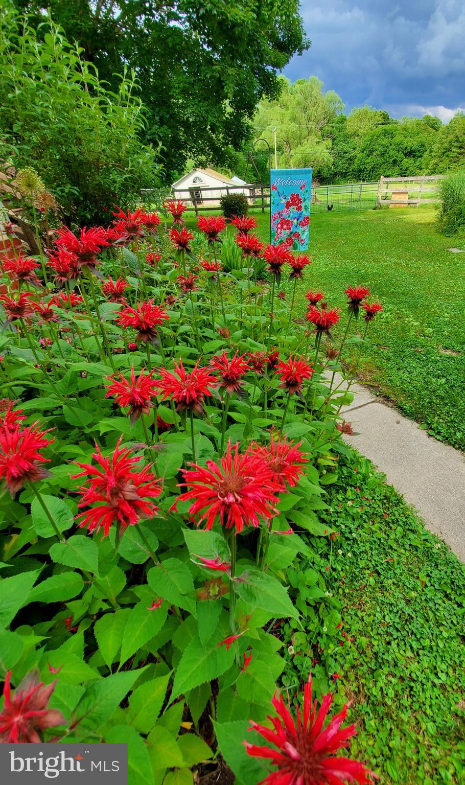 HEDGESVILLE - Residential