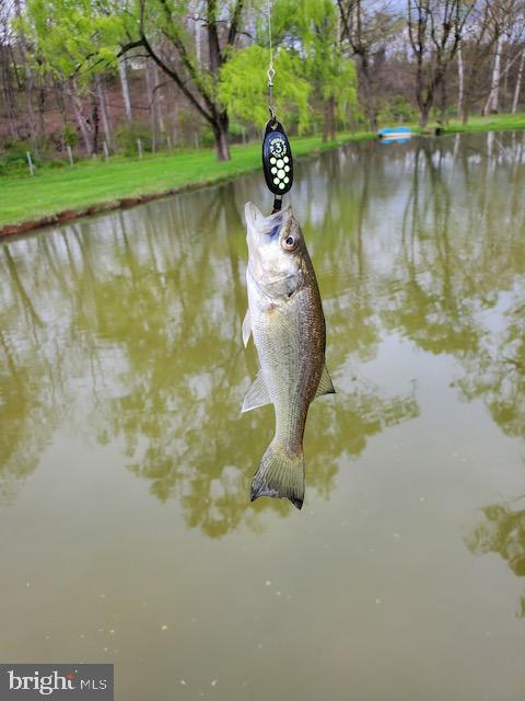 HEDGESVILLE - Residential