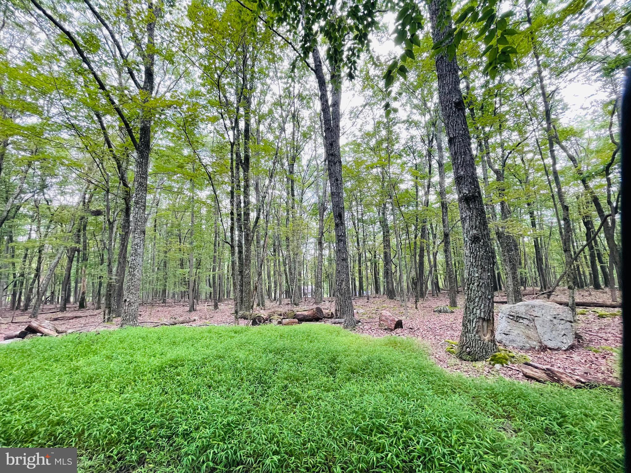Gorgeous level building lot on a low-traveled street. Tranquility best describes the feeling of this location! The Cove Village Community is situated in the foothills of the Poconos and only 1 1/2 hours to New York, With easy access to I-81 your commute to Hazleton, Wilkes Barre, or Scranton is a breeze. Bring your own builder and let's get started. Another cost-saving perc of the community is having public water and sewer already in place and ready for you to connect through Aqua of Pa. 750 acres of unoccupied prime hunting, ATV, and snowmobile riding land surround the residential portion of Cove Village and is allocated only for the residents of the community and their guests! Driving through the community, the peace and tranquility will envelop you. At any given moment the deer, turkey, and birds will entertain you in your own backyard. Homes within the community vary from rustic cabins and chalets to traditional ranch or two-story homes and even exquisite new construction or dreamy mountain log homes. There really is something for everyone. The approximately 278 acres of residential homes and lots are occupied by full-time residents, part-time vacation homes, and even some snowbird second homes. Cove Village offers an abundance of amenities including a swimming pool, stocked fishing lake, a basketball court, tennis courts, a volleyball court, 2 playgrounds, a baseball field, ATV paths, hunting, a mini golf course, walking paths, and year-round Community events. I can't forget to mention the beautiful lodge ideal to rent for family gatherings. This lot and community just might be exactly what you've been looking for. Air B and B are not permitted. Camping on vacant lots is not permitted. Mobile homes are not permitted. The minimum square footage when building is 1400 square feet. The community maintains the roads and snow removal. Trash collection is also provided. An appointment is required to view due to the gated community. Call to schedule your tour today!