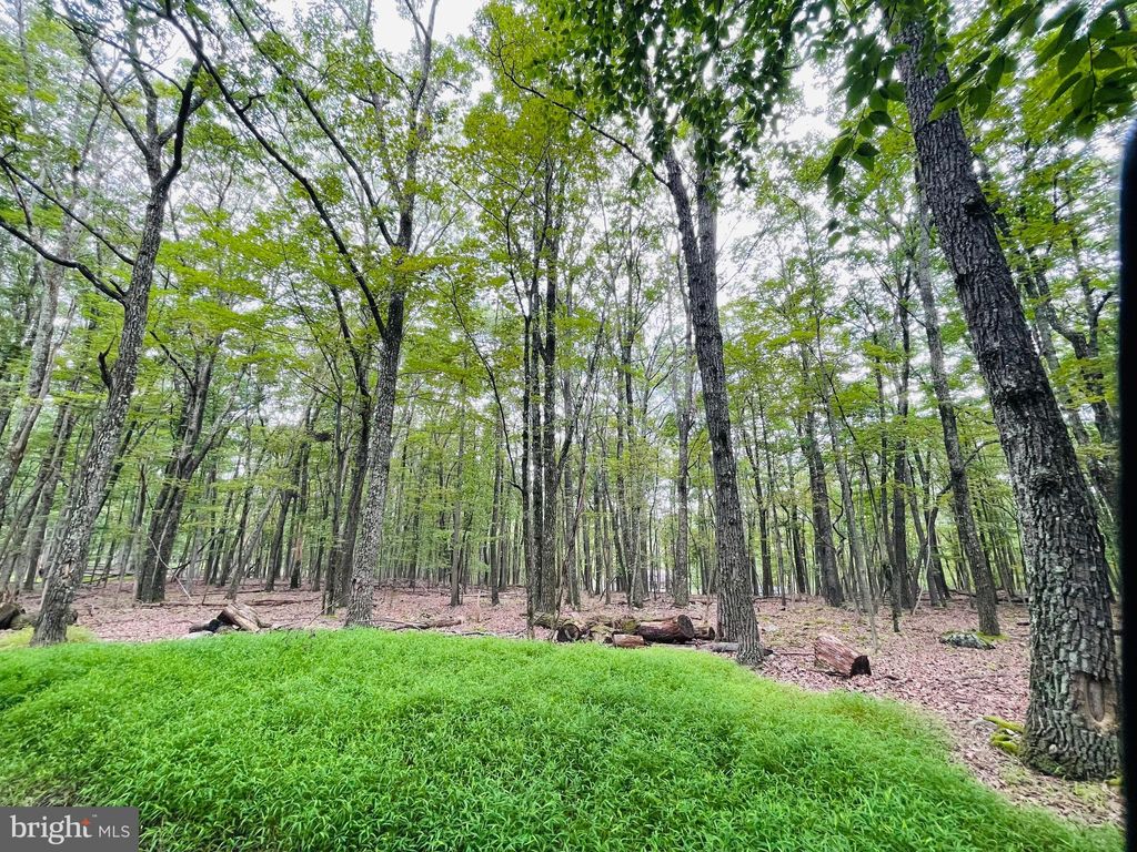 Photo of 357 White Face Circle, ZION GROVE, PA 17985 (MLS # PASK2023116)