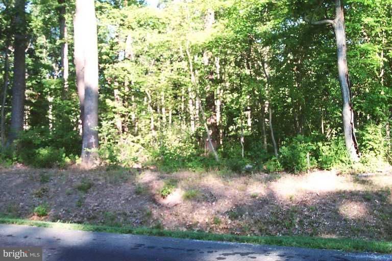 ARTHUR TRACEY PROPERTY - Land